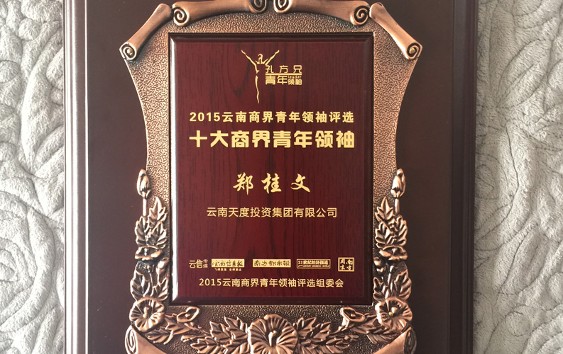 在“互聯(lián)網(wǎng)大時(shí)代”的背景下，天度作為本土很大和很有名的互聯(lián)網(wǎng)服務(wù)企業(yè)，為近萬(wàn)家傳統(tǒng)企業(yè)轉(zhuǎn)型互聯(lián)網(wǎng)+提供了服務(wù)和幫助，獲此獎(jiǎng)項(xiàng)后，我們將再接再厲，創(chuàng)造更高的社會(huì)價(jià)值